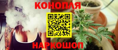 ПСИЛОЦИБИНОВЫЕ ГРИБЫ Камень-на-Оби