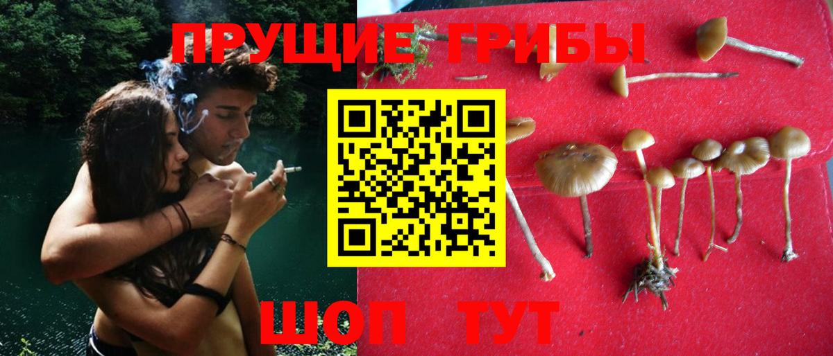Псилоцибиновые грибы мицелий Ликино-Дулёво