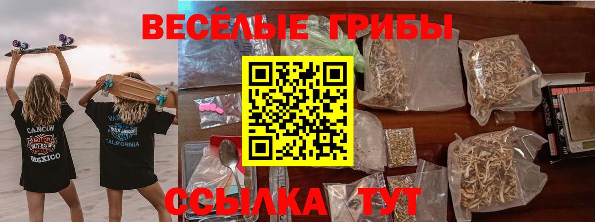 Ликино-Дулёво  Галлюциногенные грибы Cubensis  Вход с VPN 